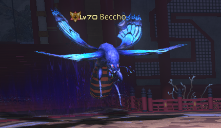 Beccho