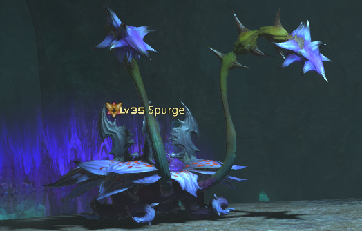 Spurge