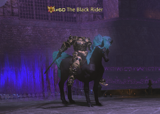 The Black Rider